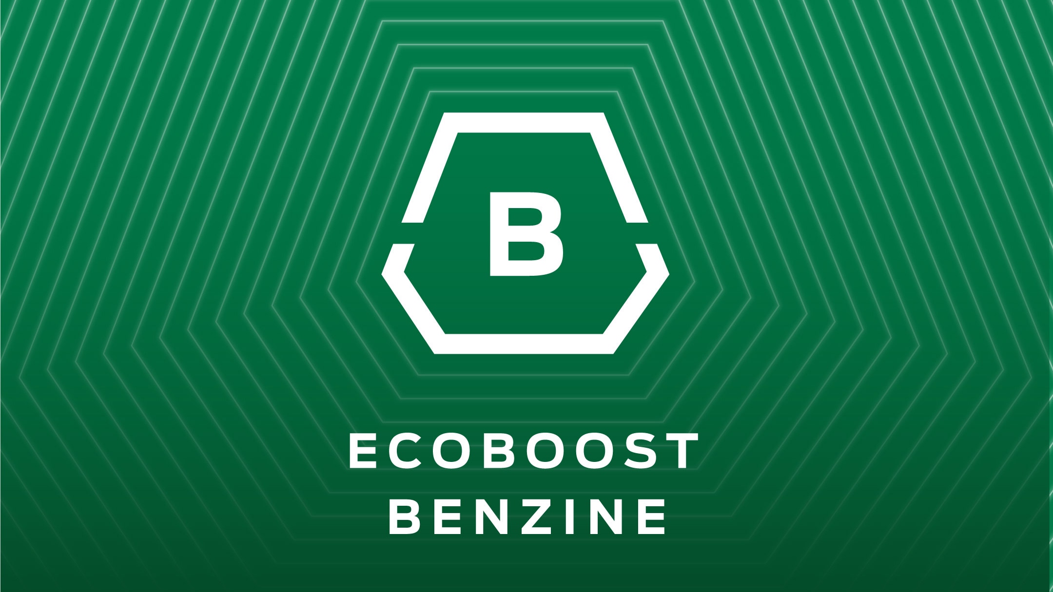 Grafische weergave voor EcoBoost benzine